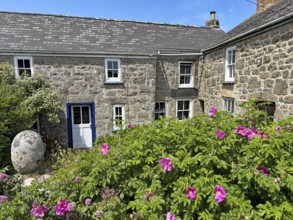 Traditional stone houses with pink garden flowers under a blue sky in a rural setting, St Agnes,