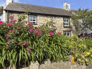 Stone house with flowering front garden and lush plants in a sunny atmosphere, St Agnes, Isles of
