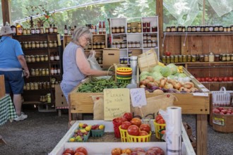 Senior couple shopping for fresh vegetables at roadside produce stand near Hayesville, North
