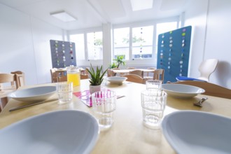 Light-flooded dining area with prepared plates and a juice jug on the table, transitional