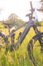 A bicycle in the tall grass shines in the warm sunlight of a summer's day, e-bike excursion,