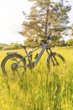 A bicycle stands on a blooming summer meadow, surrounded by trees and sun, e-bike excursion,