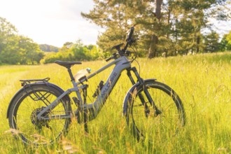 A bicycle stands on a sun-drenched meadow on a clear summer's day, e-bike excursion, Gechingen,