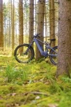 A bicycle stands in the quiet, moss-covered forest, surrounded by tall trees, e-bike excursion,