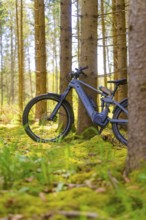 A grey-blue bicycle leaning against a tree in the moss-covered forest, e-bike excursion, Gechingen,