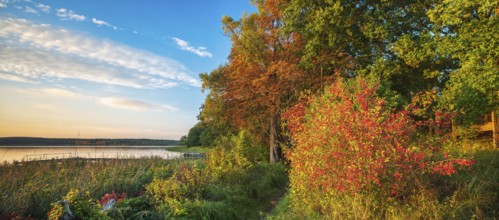 Evening at the lake in autumn, hiking trail on the shore, Großer Lychensee, Lychen, Uckermark,