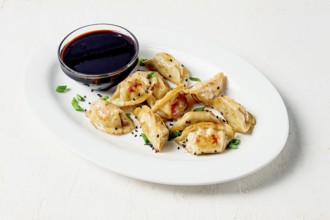 Japanese fried gyoza dumplings, with pork, sesame seeds, green onions