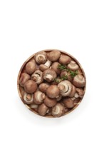 Brown champignons, royal mushrooms, in a wooden bowl, on a white background, isolate