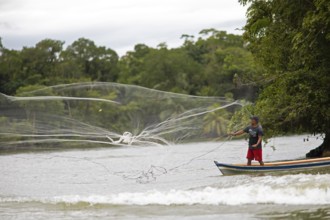 Fischer casting his net, Rio Dulce River, Livingston, Izabal Department, Guatemala