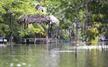 Inhabited riverbank on the Rio Dulce River, Livingston, Izabal Department, Guatemala