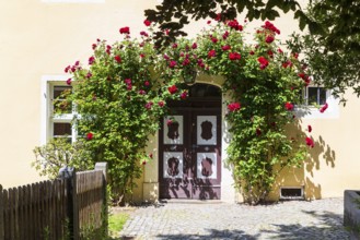 Blooming rose arch around a wooden front door with carvings, Pulsnitz, Saxony, Germany