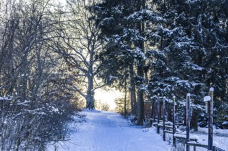 Light at the end of the trail, snowy forest trail after the onset of winter in the Swabian Jura,