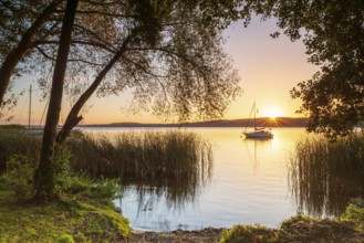 Sunrise at a swimming area on Schwielowsee near Potsdam, sailboat anchored in water, reeds and