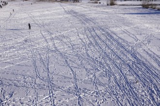 Traces in snow, winter, Germany