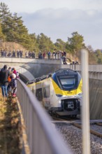 Yellow train goes under a bridge. People watch from the side of the tracks. Forest in the