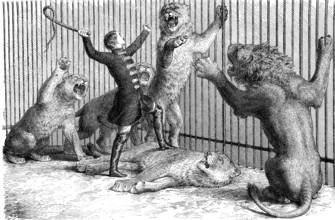 Thomas Batty, 1832-1903, English tamer and circus owner and his lions, woodcut from 1864