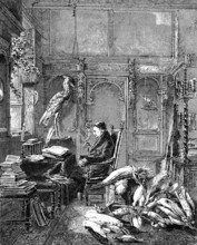 Alfred Edmund Brehm, 1829-1884, was a German zoologist and writer, woodcut from 1864