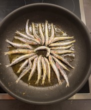 Roasting small fish in oil in a pan, food photography, Munich, Bavaria, Germany