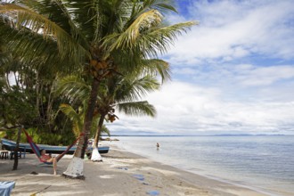 Sandy beach beach and coconut trees on Playa Blanca, Izabal Department, Guatemala