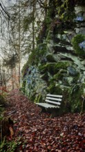 Leafy, atmospheric forest trail with a bench next to rocks covered with moss, Thuringian Forest