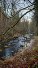 A stream flows through a forest with autumn leaves on the ground, Frankenwald nature park Park