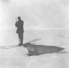 Adrien de Gerlache, the leader of the Belgian Antarctic expedition (1897 - 1899) hunts a seal,