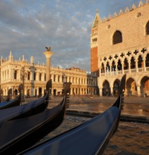 View from the water of the Doge's Palace and Piazzetta in the morning, Venice, Veneto, Italy