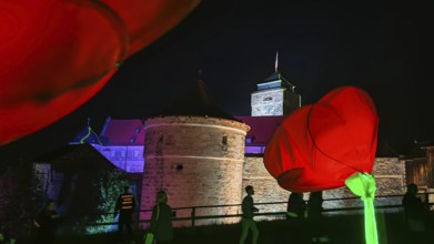 Red roses (pink) and people in front of an illuminated castle at night, Kronach shines, Franconian