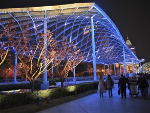 Illuminated modern structure with trees at night and people on a sidewalk, Shanghai, China
