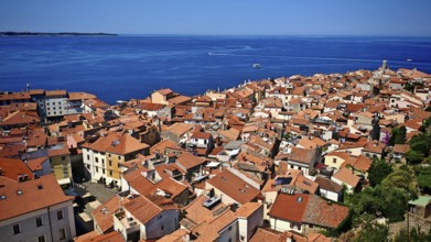 Panoramic picture of a coastal town with red roofs and a blue sea in summer, Piran, Slovenia