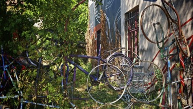 Colourful bicycles stacked on top of each other next to an art-painted wall surrounded by plants,