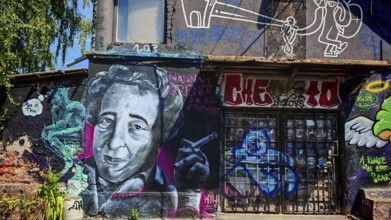 Colourful graffiti portrait on an urban wall with further figures and details, Ljubljana, Slovenia