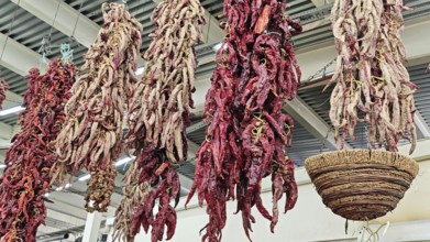 Dried chilli peppers (capsicum annuum) hanging next to a woven basket, Skopje, North Macedonia