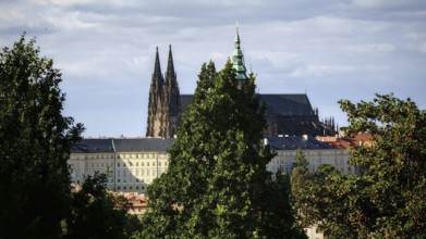 Gothic church between tall trees, cloudy sky in the background, view of Hradcany, Prague, Czech