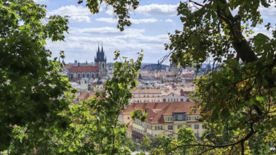 Urban skyline with a church in the background, framed by green trees, Prague, Czech Republic