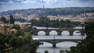 View of river and several bridges surrounded by urban architecture and hills, view of Charles