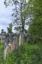 Jewish cemetery, since 1866, Czernowicz, Bukovina, Ukraine