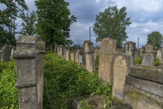 Historic Jewish Cemetery, since 1866, Czernowicz, Bukovina, Ukraine