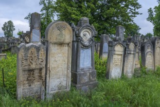 Tombstones with various Jewish symbols, Jewish cemetery, Czernowicz, Bukovina, Ukraine