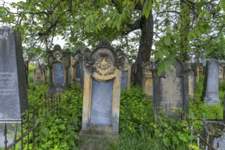 Graves at the Jewish cemetery in Czernowicz, Bukovina, Ukraine