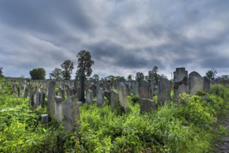 Jewish cemetery, Czernowicz, Bukovina, Ukraine