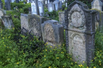 Tombstones with various Jewish symbols, Jewish cemetery, Czernowicz, Bukovina, Ukraine