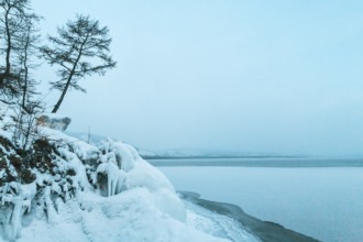 Lake Baikal, Siberia, Russia. Trees on snow covered frozen ground around frozen Lake Baikal in
