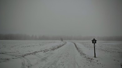Snowy dirt road in fog with a bare tree and a Rennsteig signpost, Rennsteig, Thuringian Forest