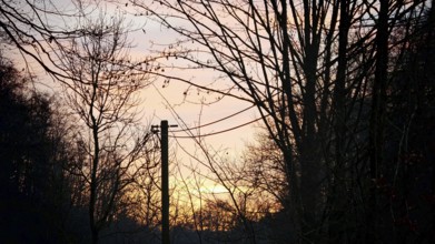 Sunset through tree and power line silhouettes illuminating the sky, Frankenwald nature park Park