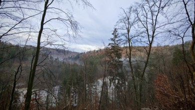 A hilly forest landscape with bare trees and fog under a cloudy sky, Frankenwald nature park Park