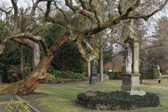Tomb of composer Norbert Burgmüller, Nordfriedhof Düsseldorf, North Rhine-Westphalia, Germany