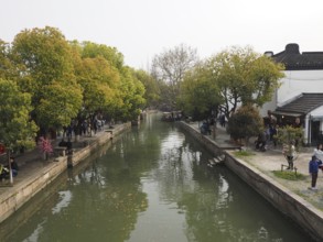 A quiet canal in Zhujiajiao with trees, footpaths and traditional buildings, visited by people,