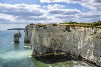 White Cliffs of Old Harry Rocks Jurassic Coast, Handfast Point, Dorset, UK