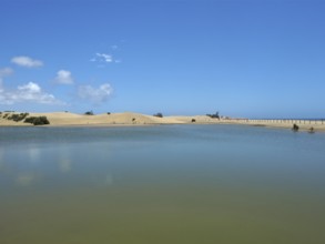 Tranquil lagoon lake with sand dunes under blue sky, El Oasis de Maspalomas, Gran Canaria, Canary